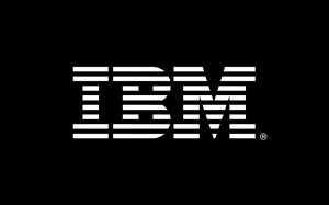 La compagnie IBM France a participé au financement pour l'achat de plusieurs tandems en octroyant à l'ASLAA des subventions.