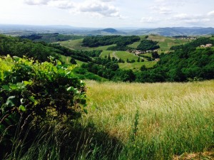 Monts du Beaujolais - Juin 2017 - Rallye Tandem du Beaujolais.